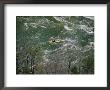 Aerial View Of Kayaker On Potomac River by Skip Brown Limited Edition Print