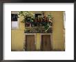 Balcony Crowded With Potted Plants by Gina Martin Limited Edition Print