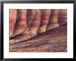 Painted Hills In John Day Fossil Bed National Monument, Oregon, Usa by William Sutton Limited Edition Pricing Art Print