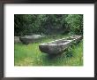 Dugout Canoes, Fort Clatsop, Near Astoria, Oregon, Usa by Jamie & Judy Wild Limited Edition Print