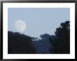 August Almost Full Moon Rising Over Oak View, California by Rich Reid Limited Edition Print