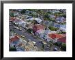 Aerial View Of Wooden Villas, Corrugated Iron Roofs, Suburban Street, Auckland by Julia Thorne Limited Edition Pricing Art Print