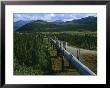 The Trans-Alaska Pipeline Runs Through The Alaskan Wilderness by Melissa Farlow Limited Edition Pricing Art Print