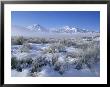 Snow Covered Valley And Fog In The Eastern Sierras, California by Rich Reid Limited Edition Print