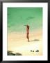 Woman With Umbrella On Beach, Thailand by Jacob Halaska Limited Edition Print