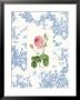 Otis by Sophia Davidson Limited Edition Pricing Art Print