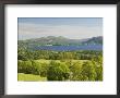 Lake Windermere, Lake District National Park, Cumbria, England, United Kingdom by James Emmerson Limited Edition Print