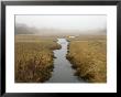 Early Morning Cape Cod Marsh Scene, Chatham, Cape Cod, United States, Massachusetts by Brimberg & Coulson Limited Edition Print