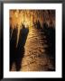 Interior Of Temple Of The Sun Cave Formation, New Mexico by Rich Reid Limited Edition Print