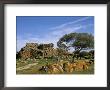 Sarcidano Region, Sardinia, Italy by Ken Gillham Limited Edition Print