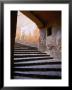 Stairs Leading To The Old Town, Sighisoara, Romania by David Greedy Limited Edition Pricing Art Print