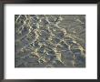 Patterns In The Sand by Todd Gipstein Limited Edition Print