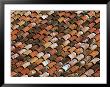 Traditional Terracotta Tiled Roof On A House, Algatocin, Andalucia, Spain by David Tomlinson Limited Edition Print