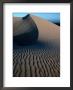 Coastal Dune Fields, Arthur Pieman Protected Area, Tasmania, Australia by Grant Dixon Limited Edition Print