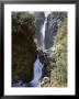 Devils Punchbowl Falls, 131M High, On Walking Track In Mountain Beech Forest, Southern Alps by Jeremy Bright Limited Edition Print