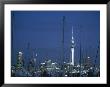 Auckland Skyline With Skytower At Dusk And Halyards In Foreground by Todd Gipstein Limited Edition Print