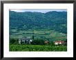 Village Of Pfaffstatten Amongst Vineyards With Vienna Woods Behind, Near Baden, Austria by Diana Mayfield Limited Edition Print