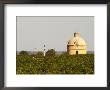 Tower And Flags Of Chateau Latour Vineyard In Pauillac, France by Per Karlsson Limited Edition Print