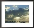 Grey Seal, Halichoerus Grypus Group On Sand Bar, Moody Ligh Ting, Uk by Mark Hamblin Limited Edition Print