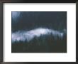 A Blanket Of Fog Covers Treetops In Misty Fjord National Monument by Bill Curtsinger Limited Edition Print