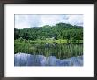 Reflections In Loch Dhu, The Trossachs, Near Aberfoyle, Stirling (Central), Scotland, Uk, Europe by Roy Rainford Limited Edition Print