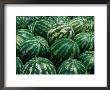 Watermelon For Sale, Trapani Market, Trapani, Sicily, Italy by Dallas Stribley Limited Edition Print