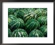 Watermelon For Sale, Trapani Market, Trapani, Sicily, Italy by Dallas Stribley Limited Edition Pricing Art Print