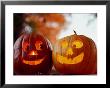 A Cheerful Pair Of Jack-O-Lanterns Against A Background Of Fall Foliage by Stephen St. John Limited Edition Print