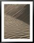 Wind-Rippled Sand Dunes by Marc Moritsch Limited Edition Print