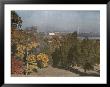 View Of Washington From Arlington National Cemetery by Charles Martin Limited Edition Pricing Art Print