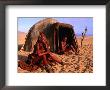 Himba Women In Front Of Traditional Hut, Kaokoveld, Kunene, Namibia by Ariadne Van Zandbergen Limited Edition Print
