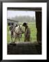 Cowboy And Horse In The Rain, Judith Gap, Montana, Usa by Chuck Haney Limited Edition Print
