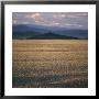 View Of The Beginning Of The Altai Range From The Gobi Desert by David Pluth Limited Edition Print