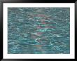Close Up Detail Of Water In A Swimming Pool by John Burcham Limited Edition Print