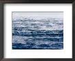 Scenic View Of Sea Smoke, Created By High, Cold Winds, Massachusetts by Tim Laman Limited Edition Print