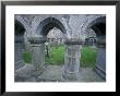 Ross Ereilly Friary, County Mayo, Ireland by William Sutton Limited Edition Print