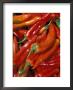 Chili Peppers, Siracusa, Italy by Dave Bartruff Limited Edition Print