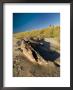 Driftwood On The Beach With A Lighthouse In The Background, Block Island, Rhode Island by Todd Gipstein Limited Edition Print