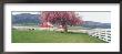 Farm In Spring, Wallowa Valley, Oregon, Usa by Terry Eggers Limited Edition Pricing Art Print