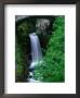Christine Falls Through The Arch Of A Stone Bridge, Mt. Rainier National Park, Usa by Brent Winebrenner Limited Edition Print