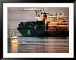 Port Of Oakland, Container Ship At Dock, Oakland, California by John Elk Iii Limited Edition Print