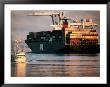 Port Of Oakland, Container Ship At Dock, Oakland, California by John Elk Iii Limited Edition Print