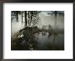 Group Of Gray Wolves, Canis Lupus, Stop At A Foggy Watering Hole by Jim And Jamie Dutcher Limited Edition Pricing Art Print