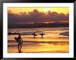 Surfers At Sunset, Gold Coast, Queensland, Australia by David Wall Limited Edition Print