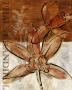 Rusty Orchid I by John Stevenson Limited Edition Print