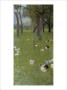 After The Rain by Gustav Klimt Limited Edition Pricing Art Print