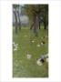After The Rain by Gustav Klimt Limited Edition Pricing Art Print