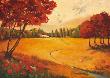Indian Summer by Claudia Ancilotti Limited Edition Print