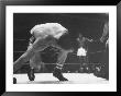 Sugar Ray Robinson In Ring With Gene Fullmer During Middleweight Title Bout by Grey Villet Limited Edition Print