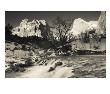 Utah, Zion National Park, Mountain Sunrise By The North Fork Virgin River, Winter, Usa by Walter Bibikow Limited Edition Pricing Art Print